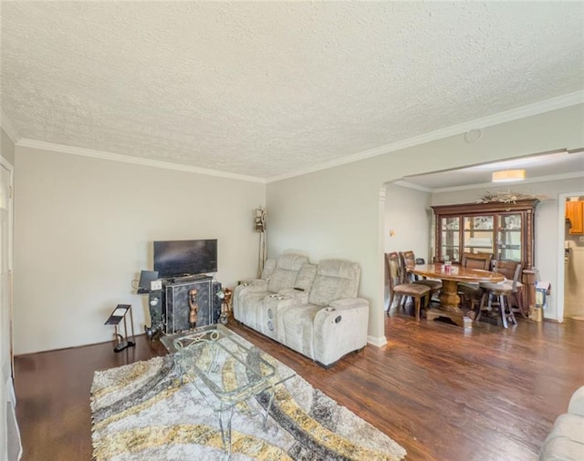646 Quillian Ave, Decatur, GA 30032 - living area with crown molding, a textured ceiling, and wood finished floors