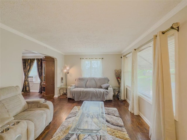 646 Quillian Ave, Decatur, GA 30032 - living room featuring crown molding, arched walkways, dark wood-style flooring, and a textured ceiling