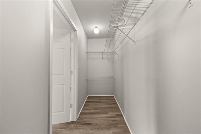 spacious closet featuring hardwood / wood-style floors