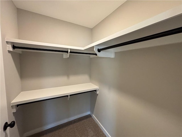 spacious closet with dark colored carpet