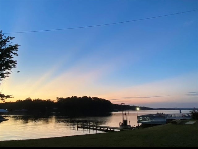 property view of water with a boat dock