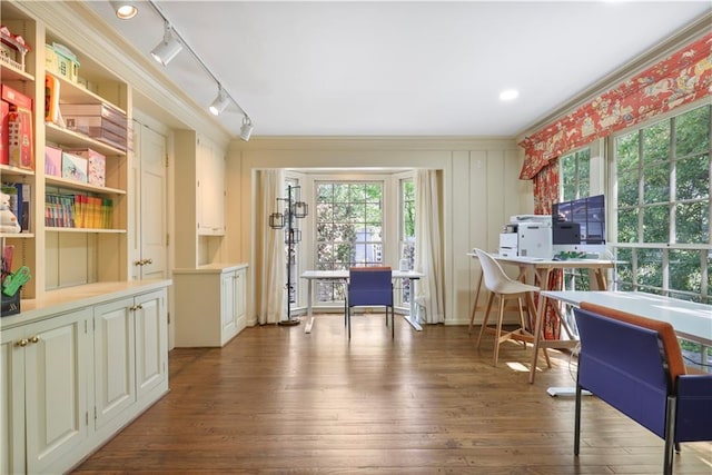 interior space featuring track lighting, wood-type flooring, and a wealth of natural light