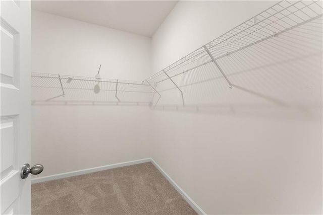1278 Daurian Dr, Statham, GA 30666 - spacious closet with carpet floors