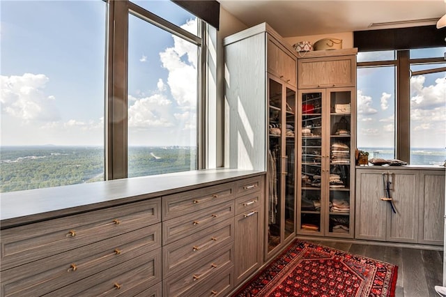 spacious closet with wood finished floors