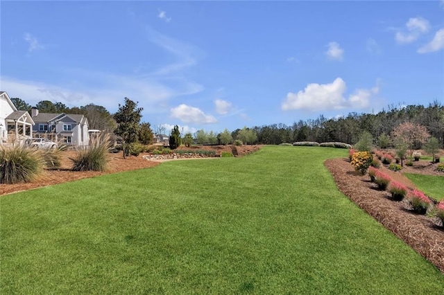 2031 Crossroads Trl, Milton, GA 30004 - view of green lawn