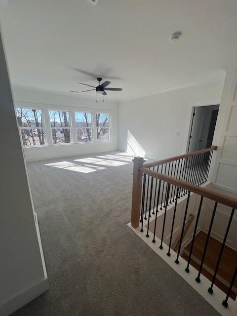 hallway with carpet flooring