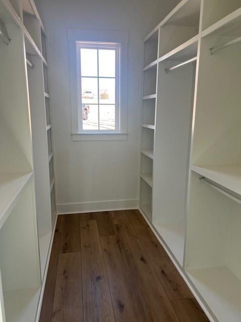 walk in closet with dark hardwood / wood-style flooring