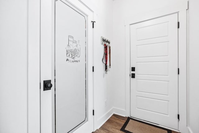 entryway with dark wood-type flooring