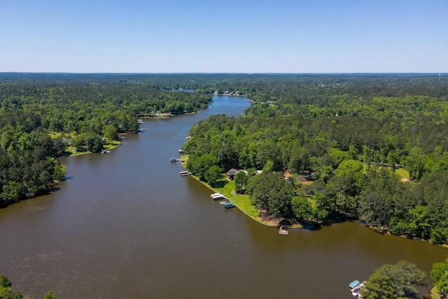 bird's eye view featuring a water view and a wooded view