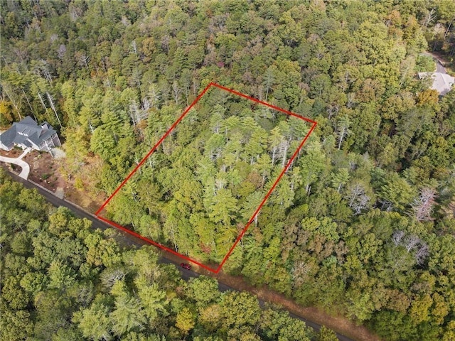 0 Trout Line Ct, Talking Rock, GA 30175