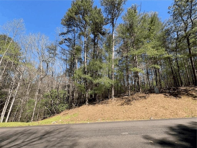 0 Trout Line Ct, Talking Rock, GA 30175