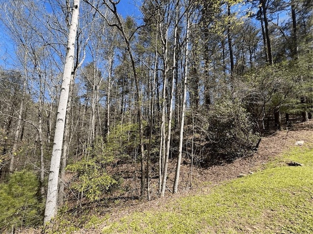 0 Trout Line Ct, Talking Rock, GA 30175