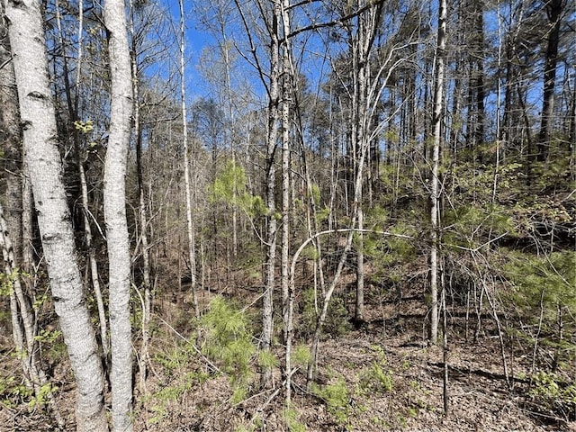 0 Trout Line Ct, Talking Rock, GA 30175