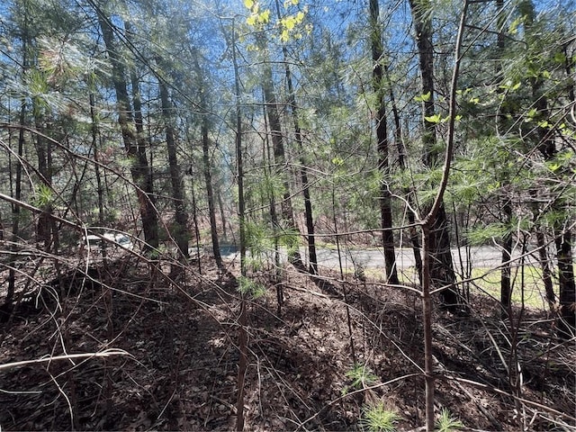 0 Trout Line Ct, Talking Rock, GA 30175