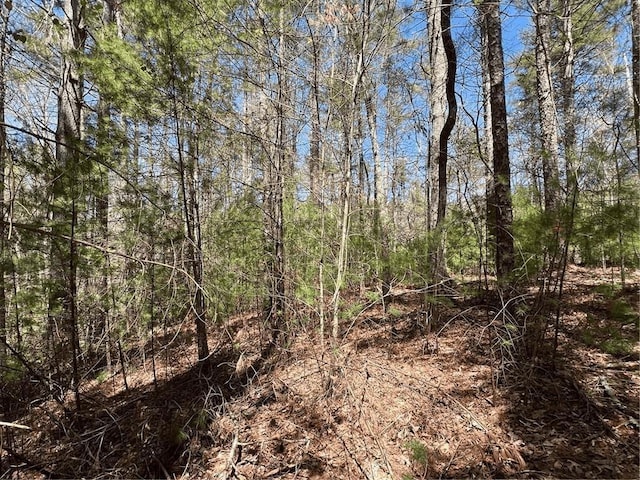 0 Trout Line Ct, Talking Rock, GA 30175