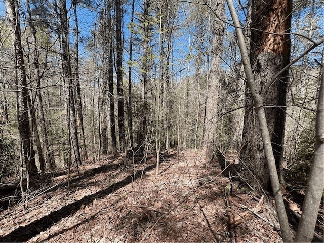 0 Trout Line Ct, Talking Rock, GA 30175