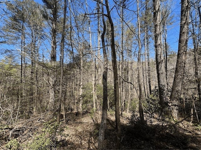 0 Trout Line Ct, Talking Rock, GA 30175