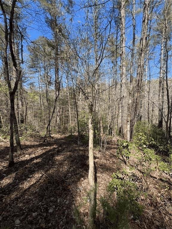 0 Trout Line Ct, Talking Rock, GA 30175