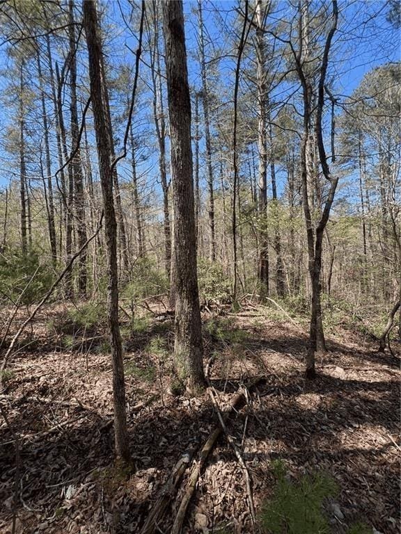 0 Trout Line Ct, Talking Rock, GA 30175
