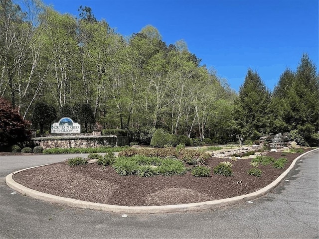 0 Trout Line Ct, Talking Rock, GA 30175