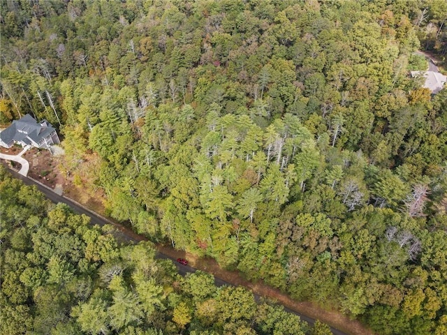 0 Trout Line Ct, Talking Rock, GA 30175