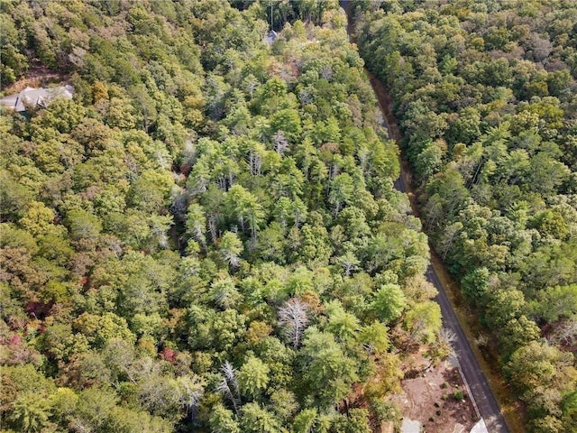 0 Trout Line Ct, Talking Rock, GA 30175