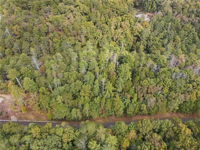 0 Trout Line Ct, Talking Rock, GA 30175