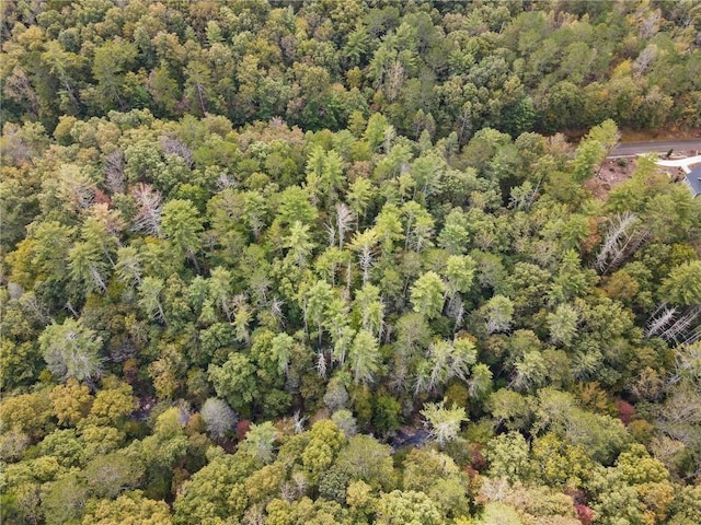 0 Trout Line Ct, Talking Rock, GA 30175