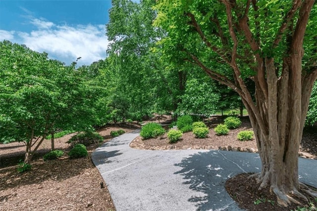 0 Trout Line Ct, Talking Rock, GA 30175