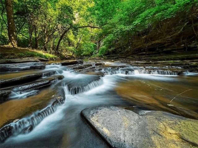 0 Trout Line Ct, Talking Rock, GA 30175