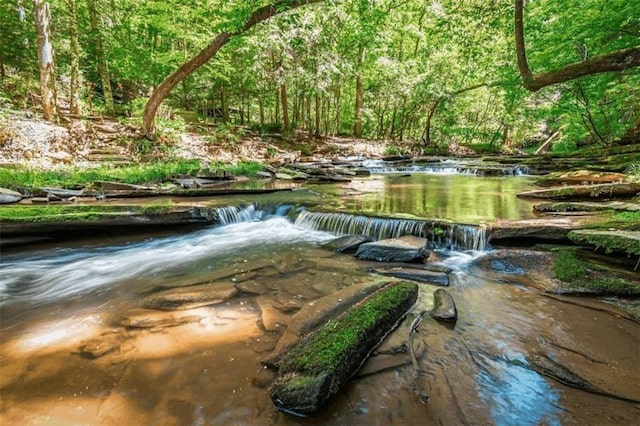0 Trout Line Ct, Talking Rock, GA 30175