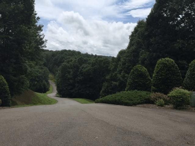 0 Trout Line Ct, Talking Rock, GA 30175