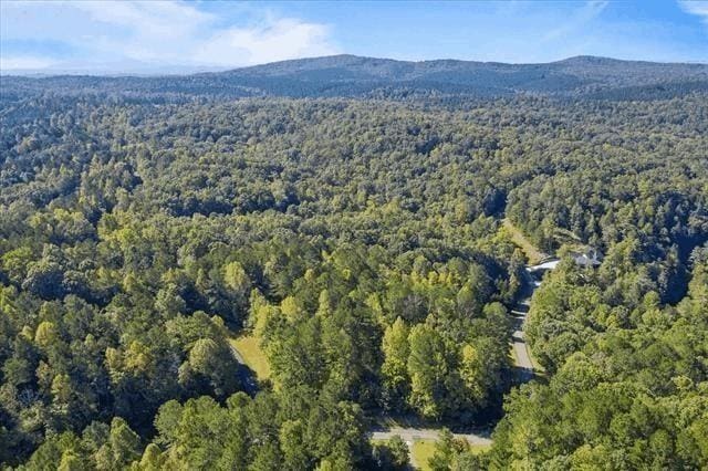 0 Trout Line Ct, Talking Rock, GA 30175