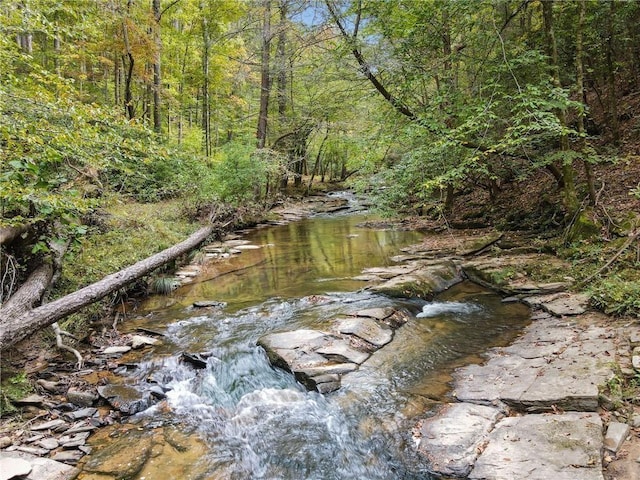 0 Trout Line Ct, Talking Rock, GA 30175