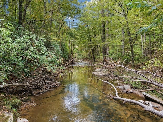 0 Trout Line Ct, Talking Rock, GA 30175
