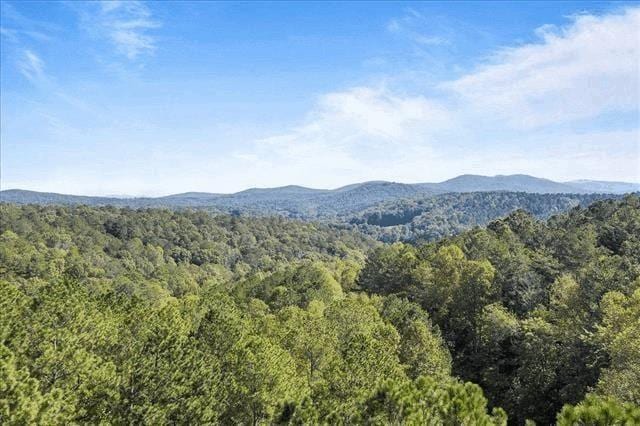 0 Trout Line Ct, Talking Rock, GA 30175