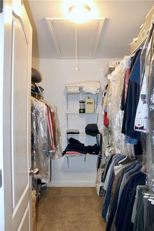 265 Mona Ct, Winder, GA 30680 - walk in closet featuring attic access and carpet flooring