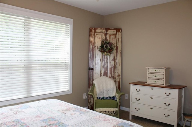 265 Mona Ct, Winder, GA 30680 - bedroom with multiple windows, carpet floors, and baseboards