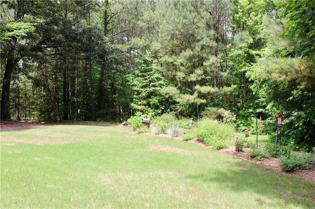 265 Mona Ct, Winder, GA 30680 - view of green lawn with a view of trees