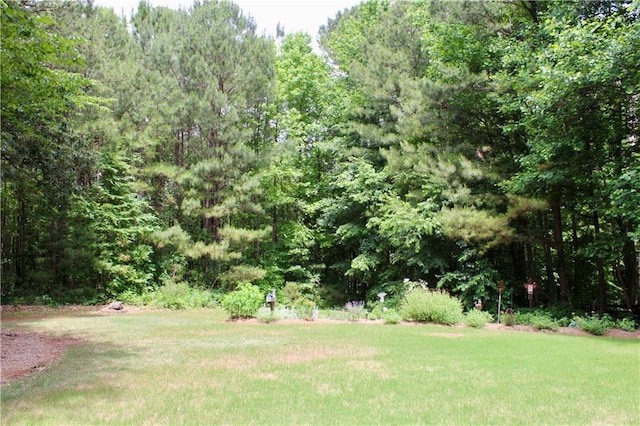265 Mona Ct, Winder, GA 30680 - view of green lawn with a forest view