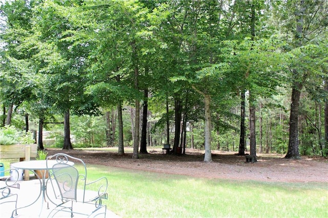 265 Mona Ct, Winder, GA 30680 - view of yard