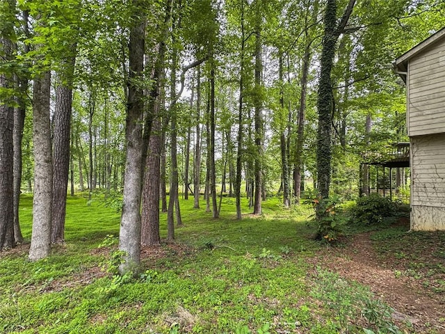 10320 Crescent Ridge Dr, Roswell, GA 30076 - view of yard