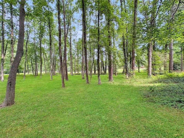 10320 Crescent Ridge Dr, Roswell, GA 30076 - view of grassy yard