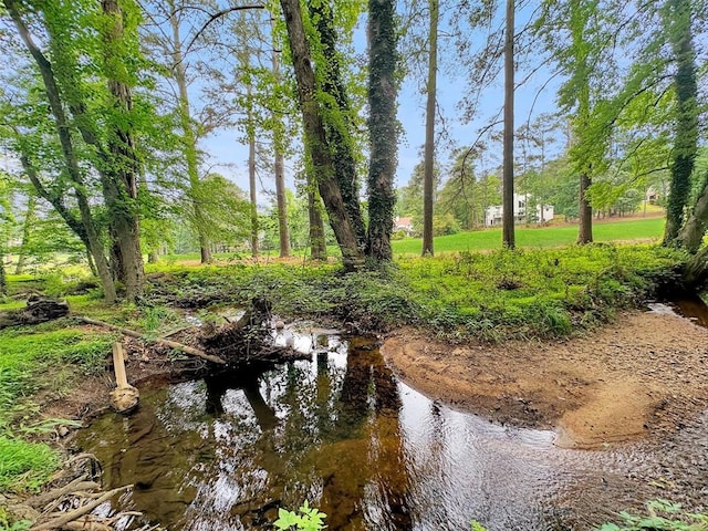 10320 Crescent Ridge Dr, Roswell, GA 30076 - water view featuring a tree filled landscape