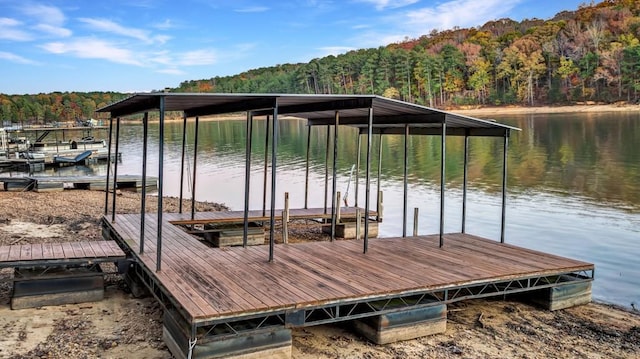 dock area featuring a water view