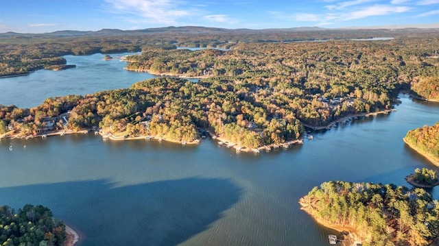 birds eye view of property with a water and mountain view