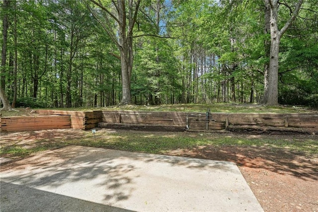 view of yard featuring a patio area