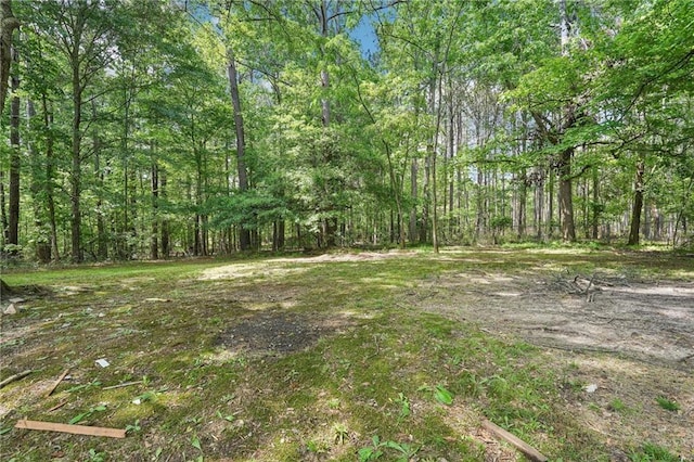 view of yard with a forest view