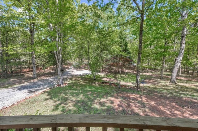 1437 Frank Lovell Rd, Clarkesville, GA 30523 - view of yard