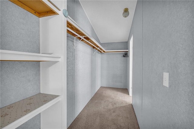 1437 Frank Lovell Rd, Clarkesville, GA 30523 - walk in closet featuring carpet